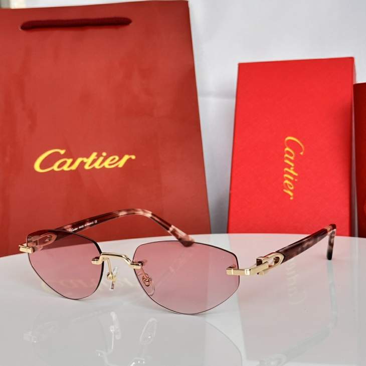 Picture of Cartier Sunglasses _SKUfw79398593fw